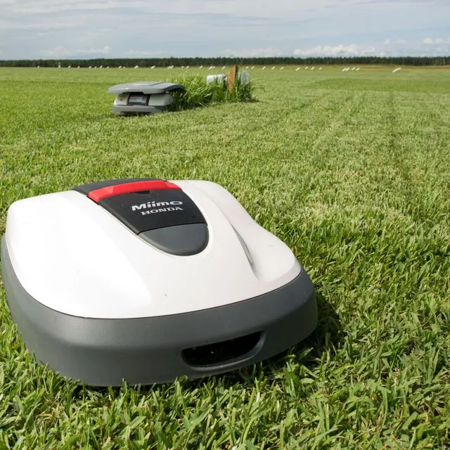 thumbnail for publication: Autonomous or Robotic Mower Use on Florida Lawns